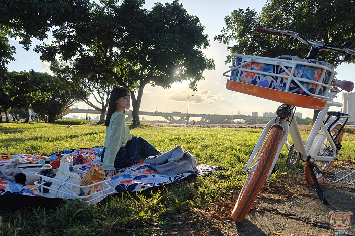 Bikniks 超電力野餐行旅車 ，首創置物籃+充電功能合一